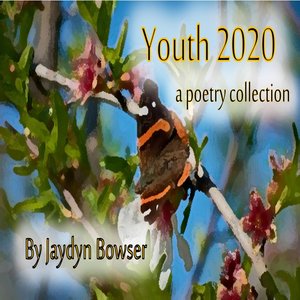 cover image of Youth 2020